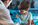 Vaccination