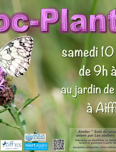Troc plantes d'automne