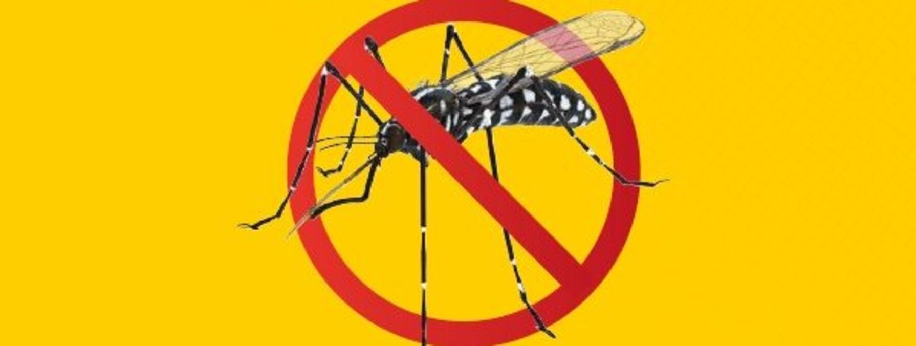 Affiche Niort Durable 2030 : Moustique tigre — au cimetière comme à la maison, privons-le d'eau.