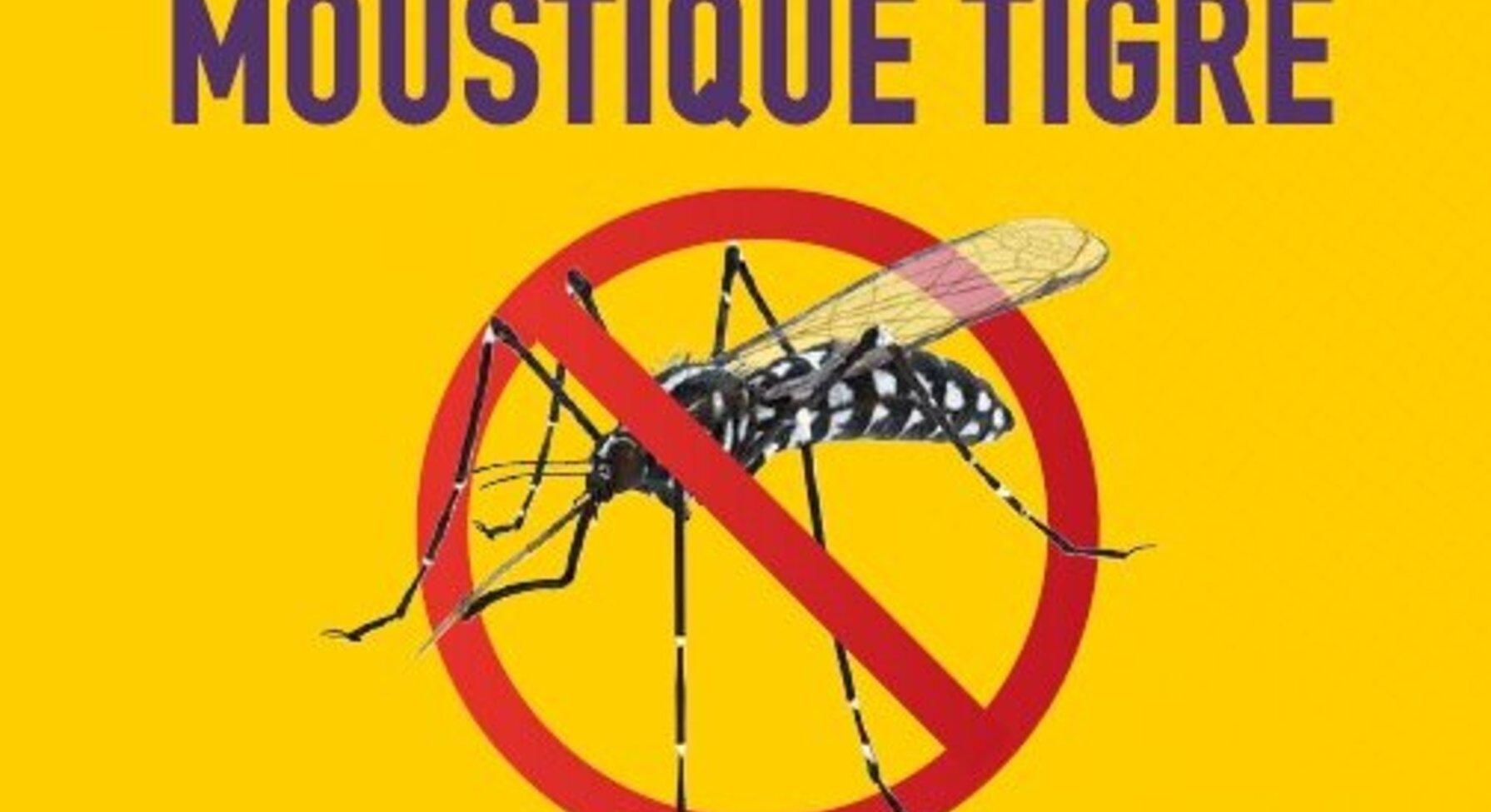 Affiche Niort Durable 2030 : Moustique tigre — au cimetière comme à la maison, privons-le d'eau.