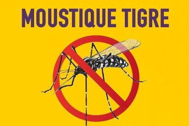 Affiche Niort Durable 2030 : Moustique tigre — au cimetière comme à la maison, privons-le d'eau.